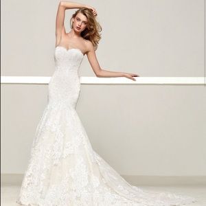 Druida by Pronovias wedding gown